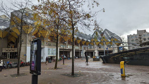 Die Kubushäuser von Rotterdam