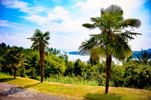 Palmen stehen am Ufer des Gardasees