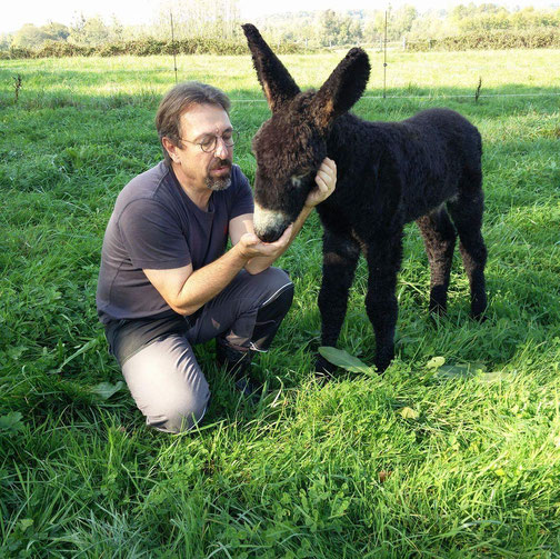 association llb - producteur du jura - l'âne à nath - savons au lait d'ânesse