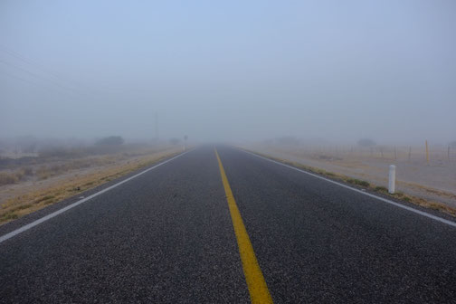 brouillard en basse Californie du sud 