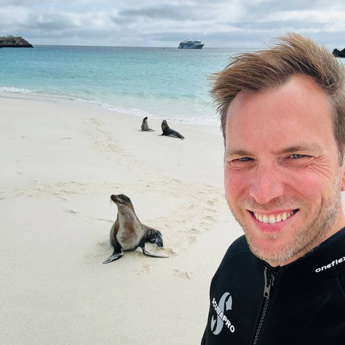 Nicolas Ruland von Emocean Cruises an einem Strand der Galápagos-Inseln mit Seelöwen während einer Expeditionsreise an Bord der Silver Origin von Silversea.