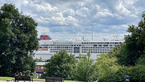 MS EUROPA 2 Hapag-Lloyd Cruises am Cruise Terminal im Vordergrund Parkbänke, Grünstreifen und hohe Laubbäume