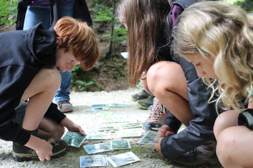 Eine Kindergruppe ist bei einem Naturerlebnispädagogik Angebot im Wald und löst ein Baumquartett.