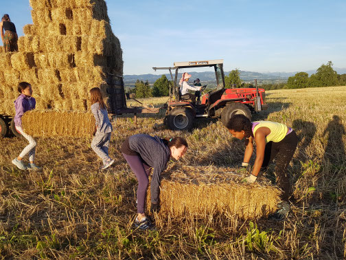 Kinder helfen im Ferienlager auf dem Bauernhof bei der Feldarbeit – Naturerlebnis im Feriencamp für Abenteuerlustige