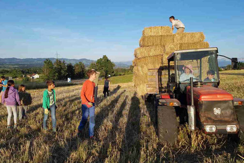 Schulklasse packt beim Strohballen verladen mit – erlebnispädagogisches Programm auf dem Bauernhof im Klassenlager