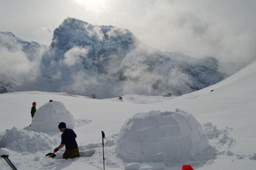 Gruppe baut gemeinsam in der Natur mehrere Iglus im Schnee
