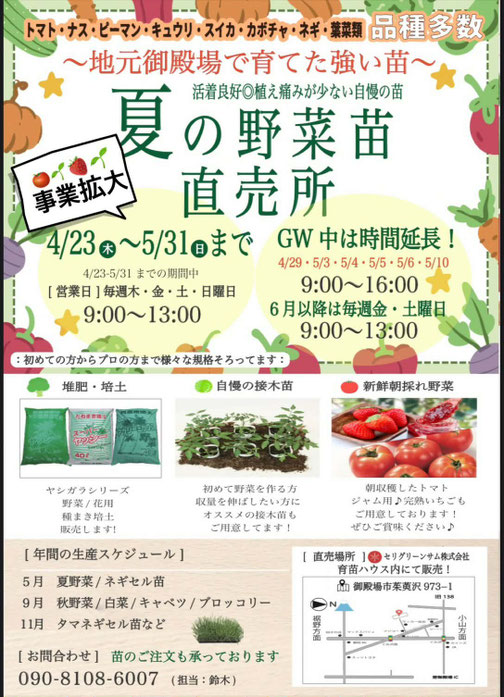 夏野菜の苗を直売します