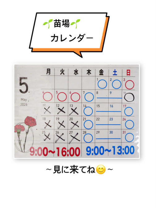 苗場カレンダー