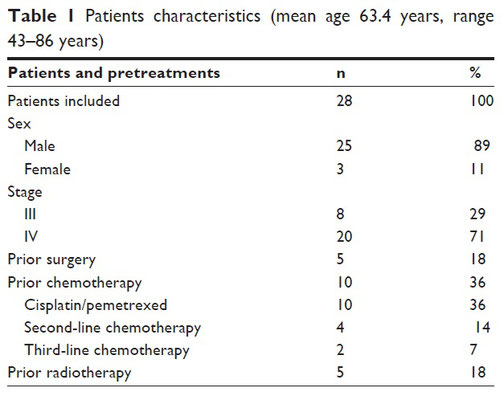 Tabelle mit den Patientenmerkmalen von 28 Personen mit fortgeschrittenem Pleuramesotheliom, inklusive Geschlecht, Krankheitsstadium und vorheriger Operation, Chemotherapie oder Radiotherapie.