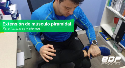 Extensión de músculo piramidal