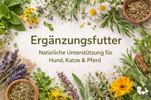 REiCO Kräuter und Ergänzungsfutter für Hunde Katzen und Pferde zur täglichen Unterstützung