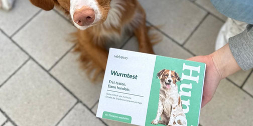 Wurmtest für Hunde von vetevo.