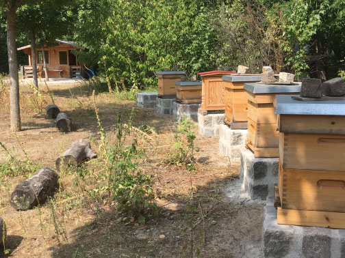 und gemauerte Podeste auf denen die Bienenbeuten sicher stehen.