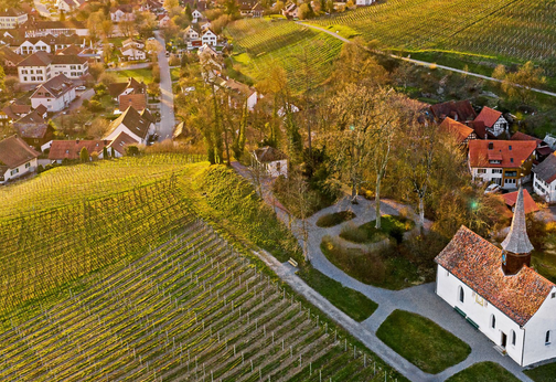 #Demeter#BioSuisse#UNITO rosso#PIWI#Gemischter Satz#Delikatess Wein#Rotwein#Biowein#Gallus Kapelle#Stammheim#Oberstammheim#Schwert#Hirschen#