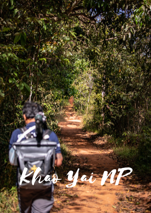 Thailand Reise 2 Wochen Rundreise
