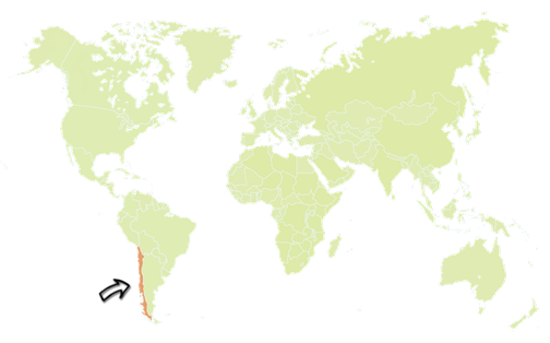 Travelguide Argentinien Backpacking