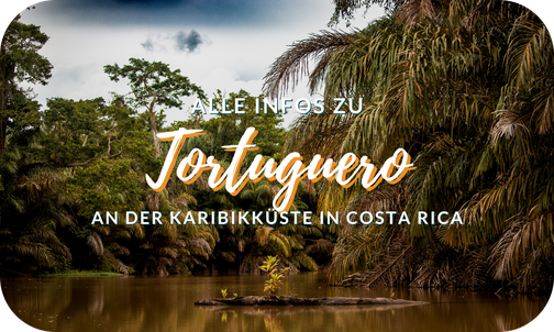 Tortuguero Costa Rica