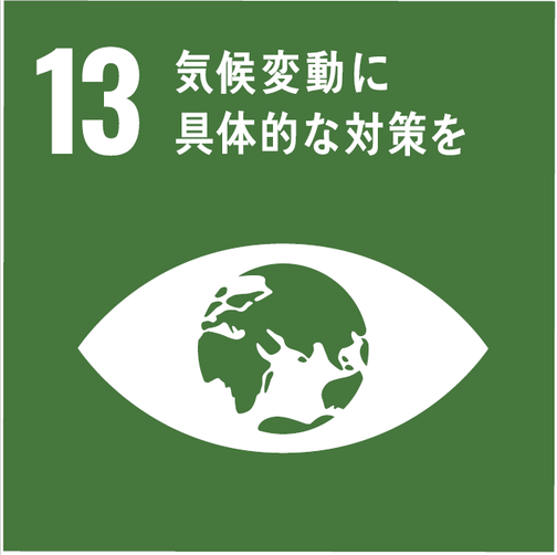 SDGs目標13のアイコン