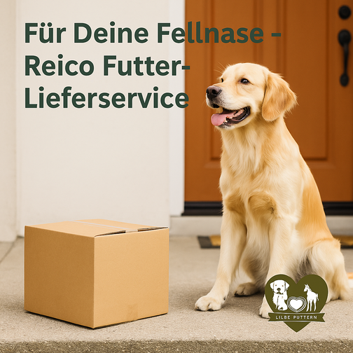 Reico Lieferservice - Hund sitzt freudig vor Haustür mit REICO-Paket – symbolisiert Zuverlässigkeit & Freude am Lieferservice für Hundefutter und Katzenfutter