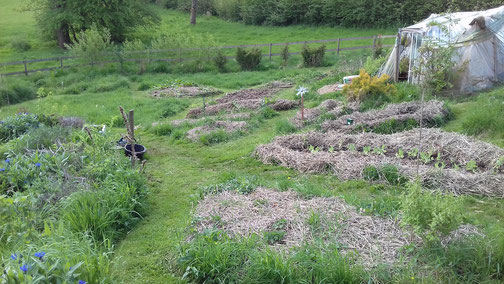 Vegetable beds and greenhouse