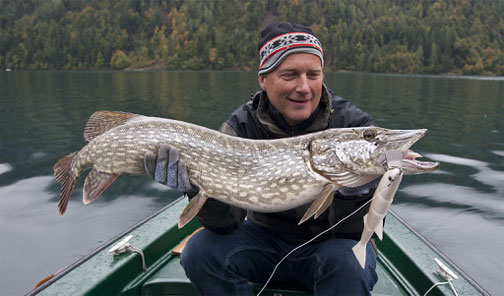 Auch am Weissensee beißen die Hechte auf die Schleppköder von www.hechtguide.com