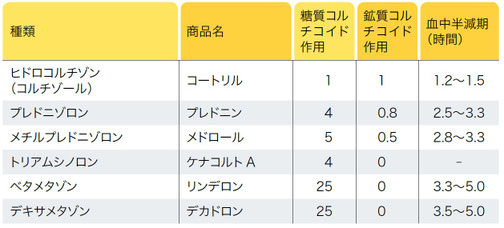 ステロイド剤・その２/長谷川動物病院
