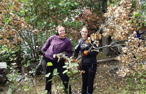 Klara und Clara im schwedischen Wald