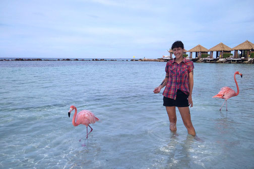 Flamingo Island, Aruba, Caribbean Trip