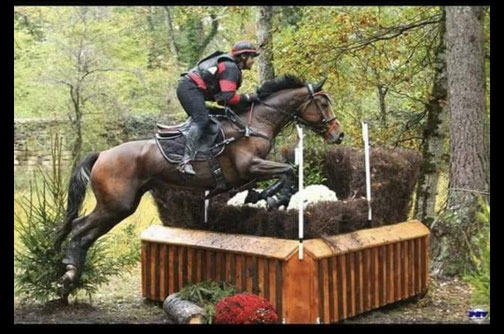 Moniteur du centre équestre et cavalier de concours complet  : les chevaux dans l'ADN !