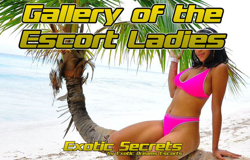 Escort Ladies for sex vacation, dominican republic, sex vacation, sex holiday, vacation for singles wirh sex include, vaction with sex adventures, sexadventures in dominican republic, sex holidays, adult vacation, 