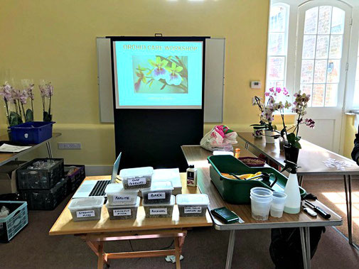 Orchid Workshop with Christine Bartlett from Orchidmania