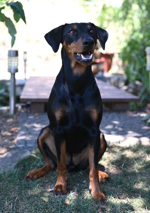 29.05.2019, Maggie an ihrem 2. Geburtstag ;-))