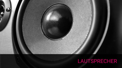 Nahaufnahme eines Lautsprecher-Chassis mit Kalotte, Membran und Sicke