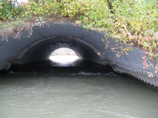 "Tunnel"-Wehr: Aufwärts tragen, abwärts fahren.