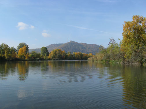 Offene Wasserfläche mit Sicht auf den Leopoldsberg und Kahlenberg.