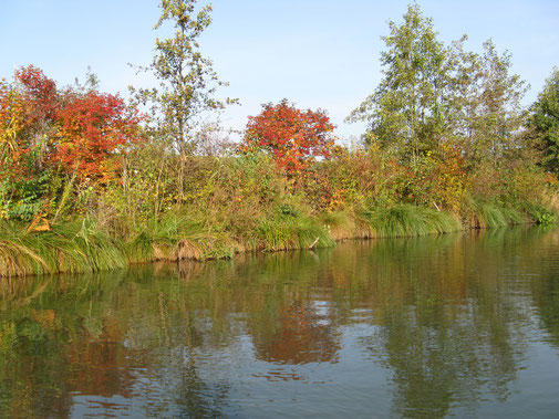 "Indian Summer" in Wien.