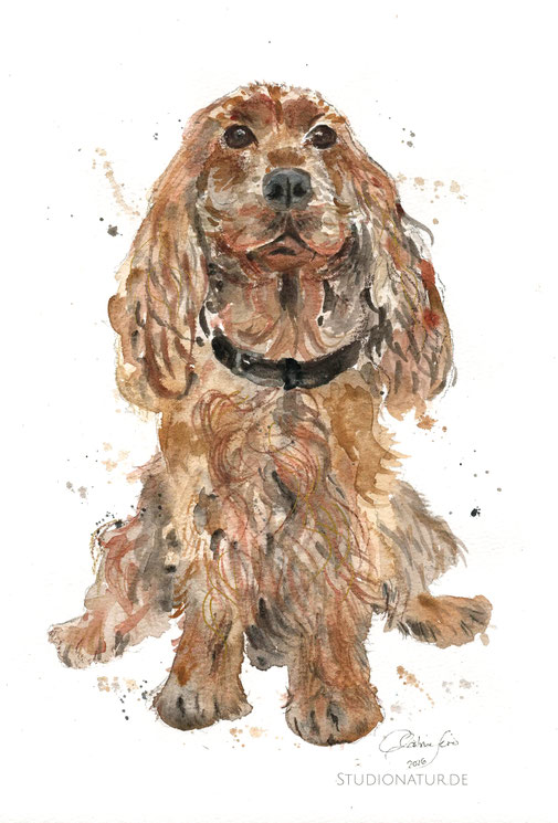 dog, dog, Hundeportrait, Hund Aquarell, Kunstwerk, Original, Gemälde, Illustration, Hundebild, Hundeportrait, dog art, contemporaryart, zeitgenössische Kunst, watercolour, watercolor, aquarela, aquarelle