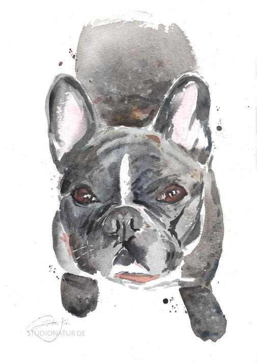 dog, dog, Hundeportrait, Hund Aquarell, Kunstwerk, Original, Gemälde, Illustration, Hundebild, Hundeportrait, dog art, contemporaryart, zeitgenössische Kunst, watercolour, watercolor, aquarela, aquarelle