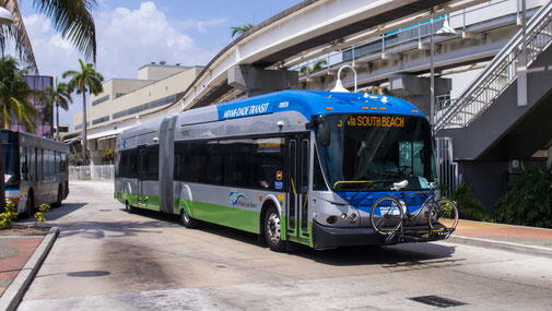 Miami Bus