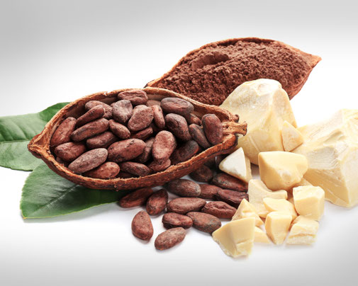 Aufgeschnittene Kakaonuss mit Kernen und der daraus gewonnenen Cupuacu Butter.