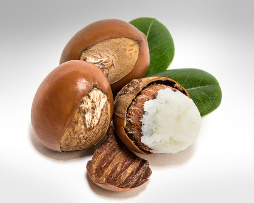 Karite Butter und der zugehörige, natürliche  Rohstoff