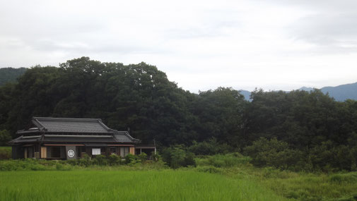 3密回避秘密ドライブルート名古屋発中津川岐阜山菜料理筍料理専門店天然あゆ料理美味しい鮎塩焼ききのこ専門店国産松茸天然きのこぼたん鍋絶品いのししジビエ