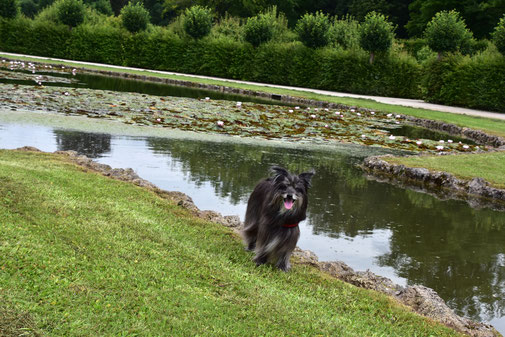 Lady im Schlossgarten