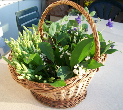 Petit panier ancien en osier en forme de corne - Début de Série