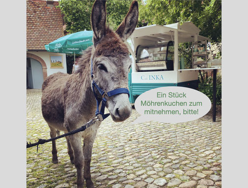 Kuchen und Torten zum mitnehmen