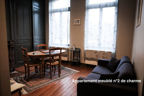 The nest - Appartement meublé tout confort en centre ville d'Amiens avec services hoteliers avec vue sur le jardin, plancher d'origine, charme, double vitrage calme, venez vous reposer, tout équipé 