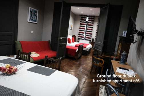Furnished apartment on the ground floor with garden in the Somme (Amiens), access on the garden, in th city center, serviced apartments for business trip corporate or family 