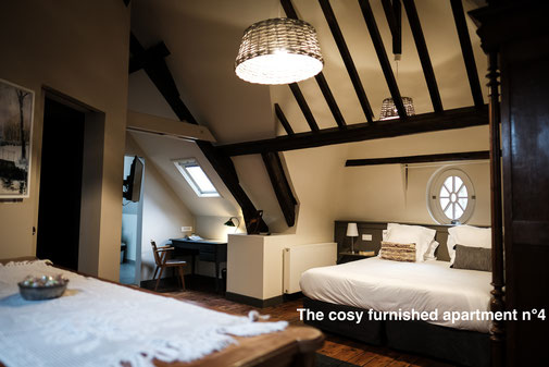 The nest - Furnished apartment with hotel services, air conditioner, in the city center of Amiens in the Somme. Serviced apartments.