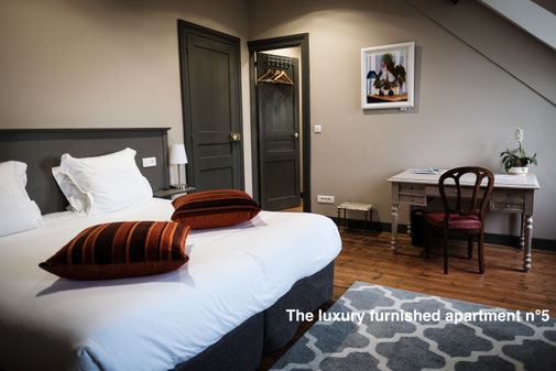 Furnished apartment with view on the cathedral in the Somme (Amiens), serviced apartments close to the train station, in the city center, cosy and comfortable for business trip corporate or family for long time