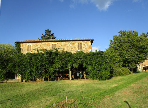 Das "Casaletto", 3 Zimmer, Küche, Pergola